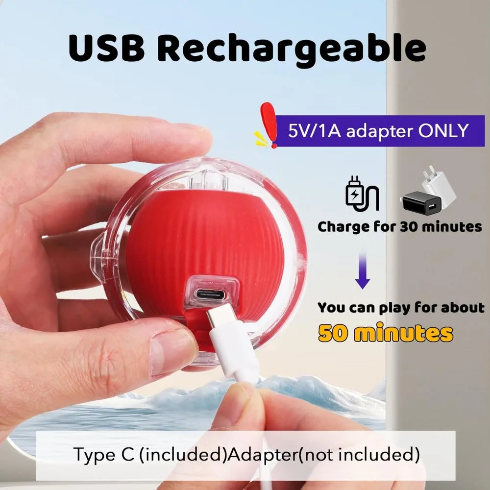 Hign Concerned Interactive Cat Toy Hide Seek Ball Rolling