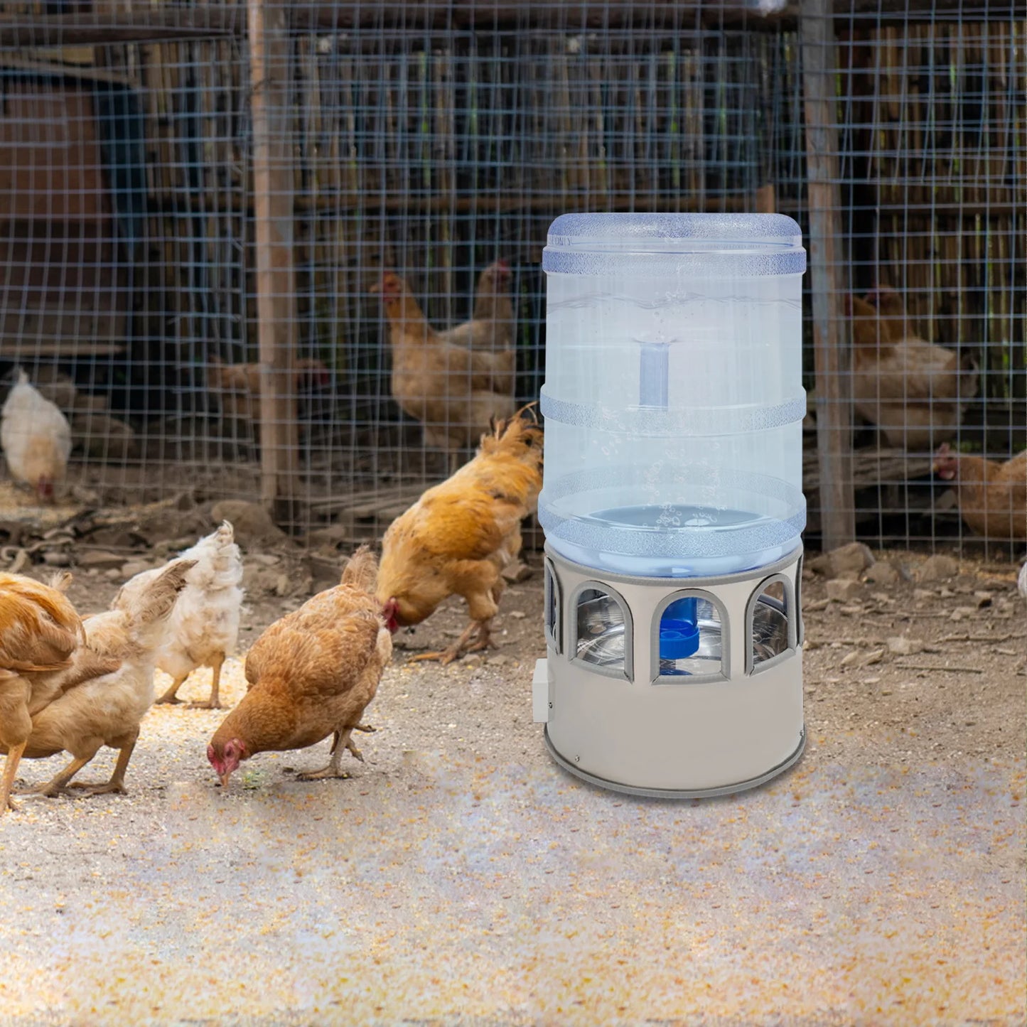 Premium Chicken Water Heater Bowl For Poultry 110V