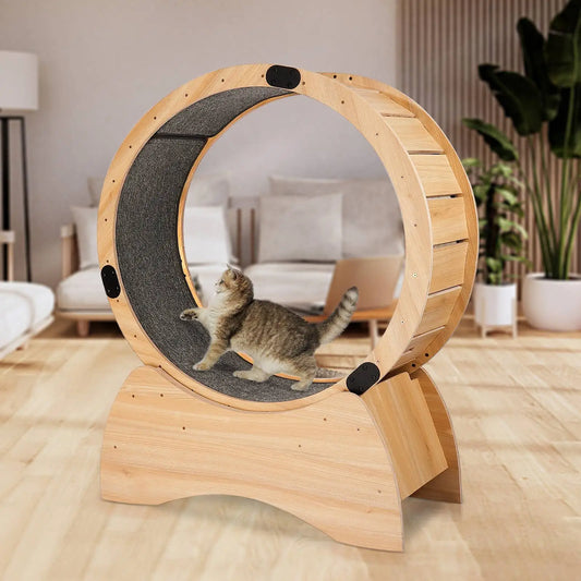 Hign Concerned Wooden Cat Treadmill And Scratching Toy