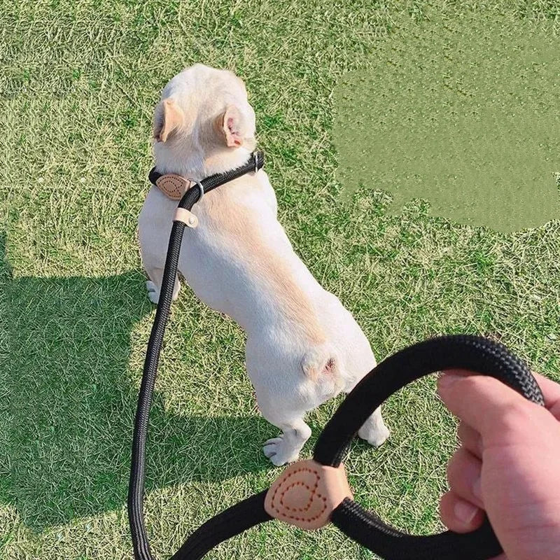 NONECN Adjustable Nylon Collar Harness Leash For Dogs And Cats