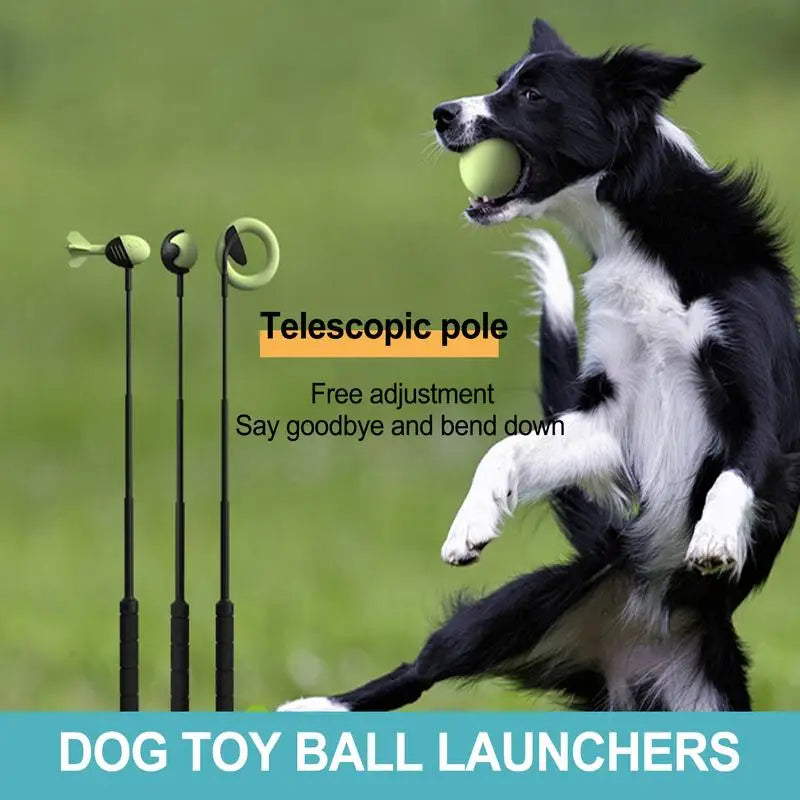 Dog Toy Throwing Pole Launcher for Outdoor Training