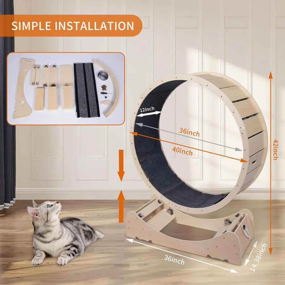 Hign-concerned Chemical Cat Exercise Wheel Indoor Fitness