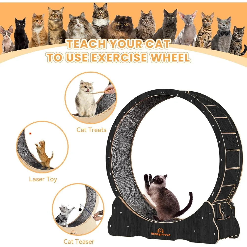 Homegroove Indoor Cat Wheel Treadmill With Carpeted Runway