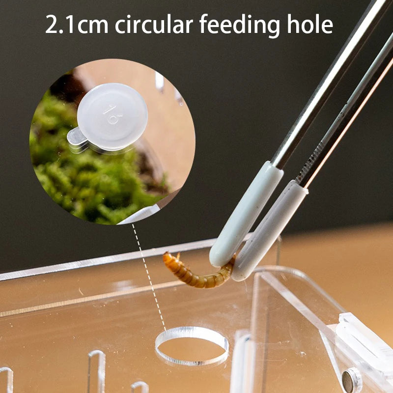 Miflame Reptile Terrariums Acrylic Display Breeding Boxes