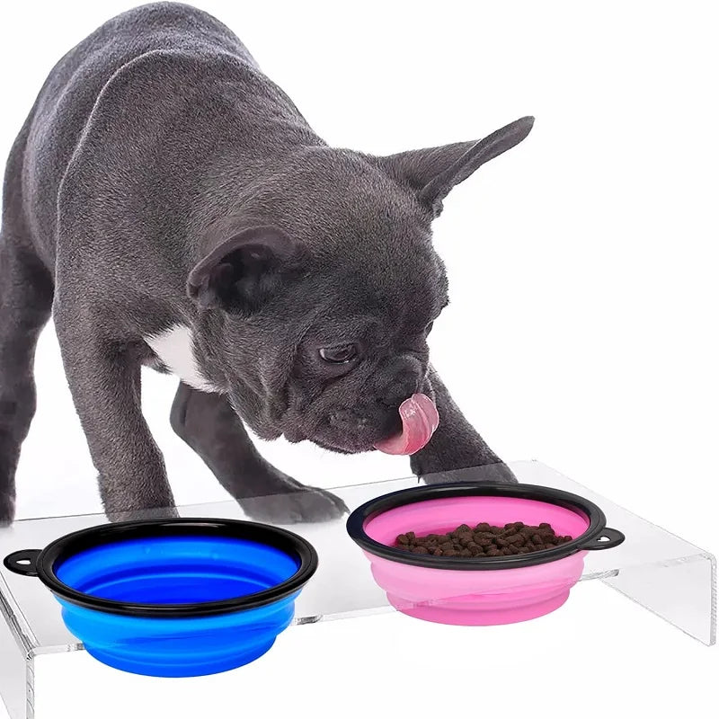 Folding Silicone Dog Feeder Bowl 2 In 1 Travel Dispenser