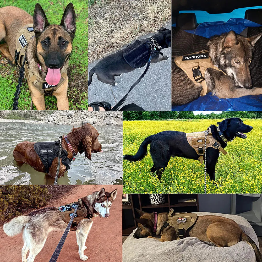 PETRAVELCN Military Dog Harness Vest Leash Set With Patches Malinois