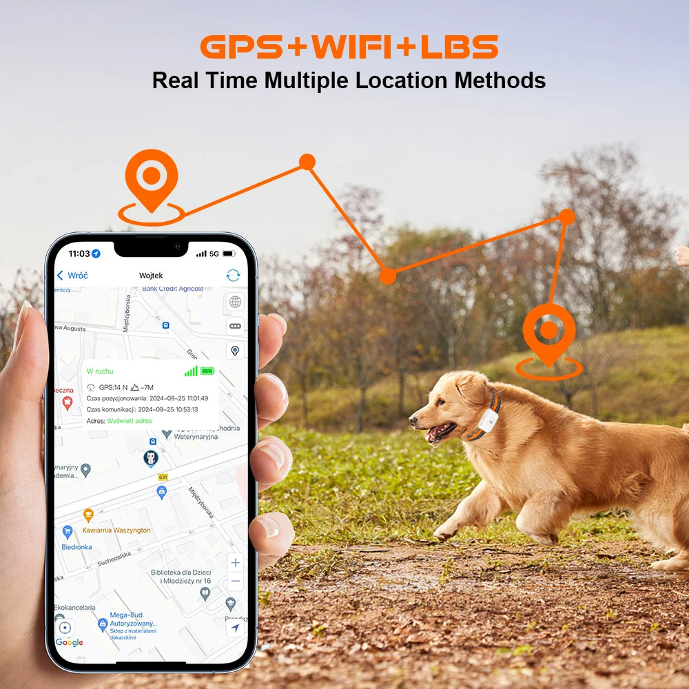 4G Dog GPS Tracker Smart Collar With Geo Fence Included