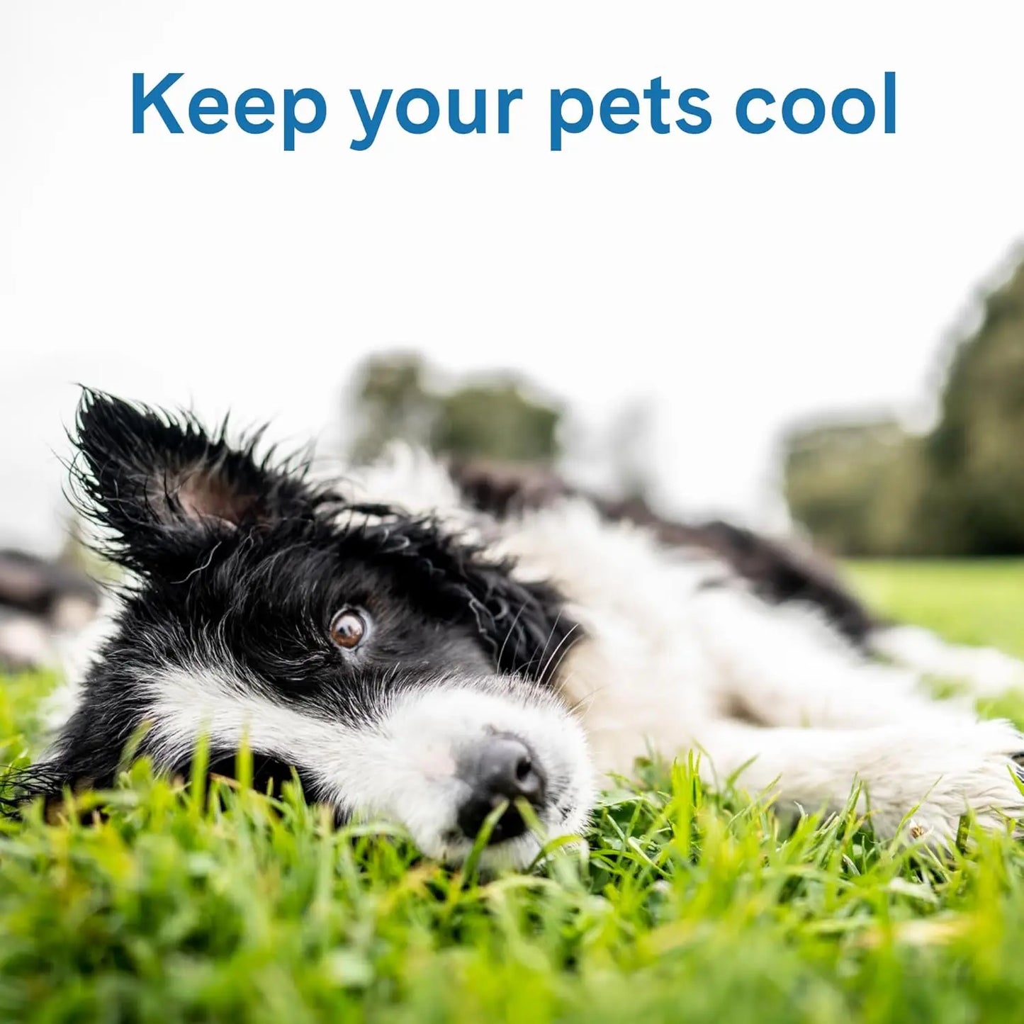Premium Self Cooling Gel Pad Mat For Dogs And Cats