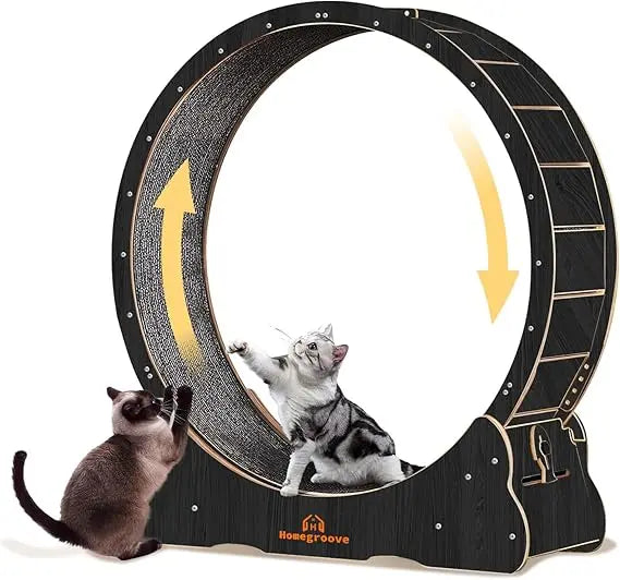 Homegroove Indoor Cat Wheel Treadmill With Carpeted Runway