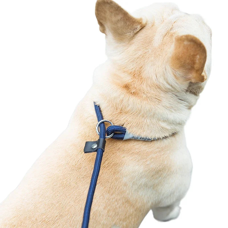 NONECN Adjustable Nylon Collar Harness Leash For Dogs And Cats