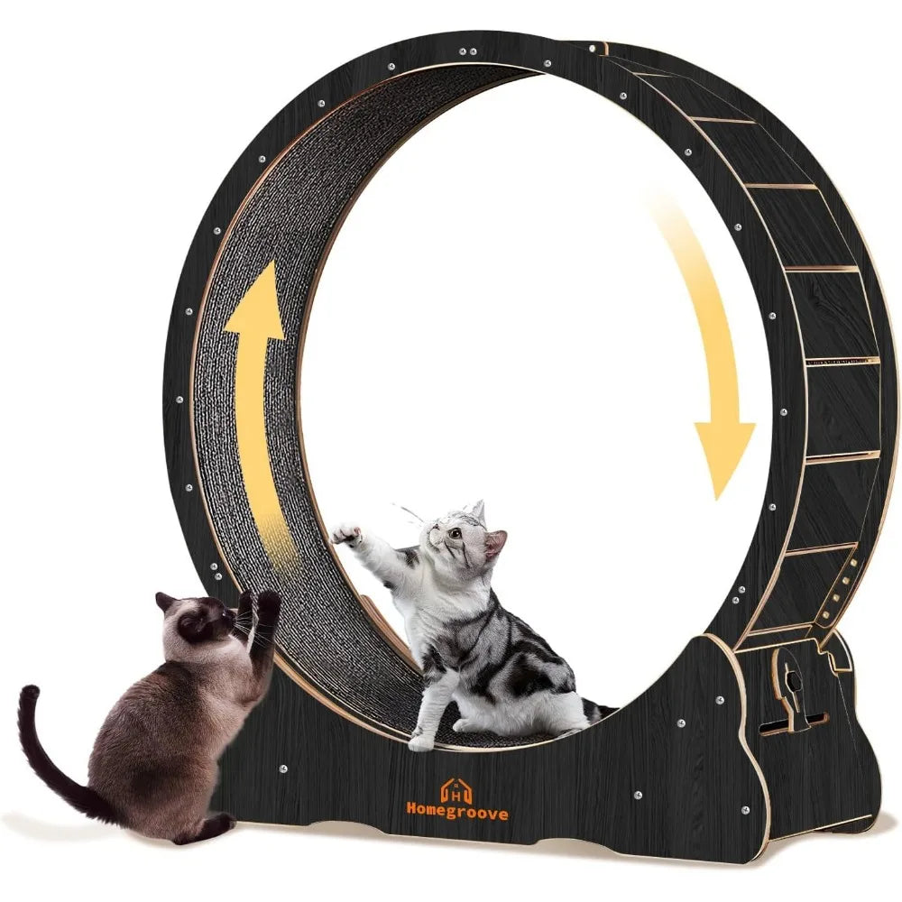 Homegroove Indoor Cat Wheel Treadmill With Carpeted Runway