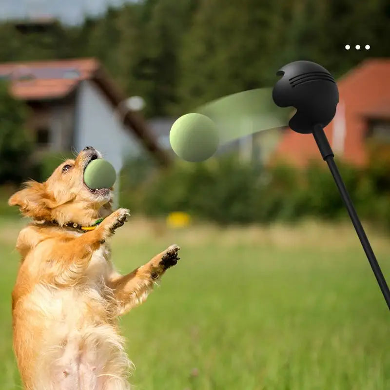 Dog Toy Throwing Pole Launcher for Outdoor Training