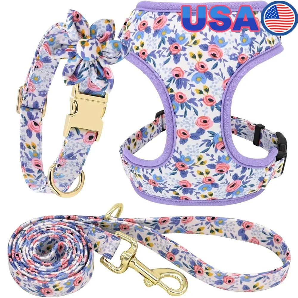 CN Fujian Dog Harness Leash Collar Set Floral Mesh Vest